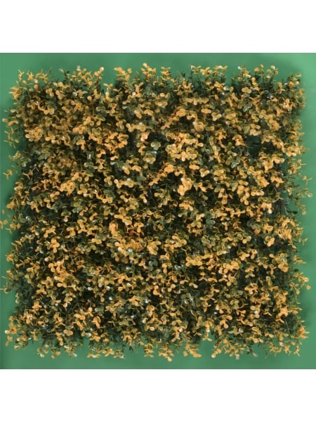 MURO VERDE ARRAYAN NARANJA