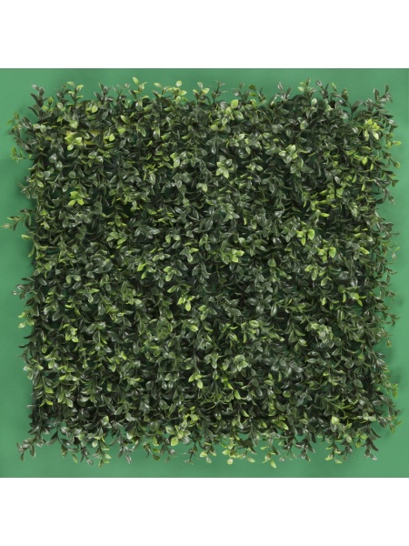MURO VERDE BOXWOOD