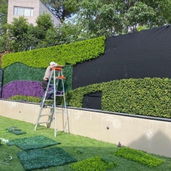 INSTALACIÓN MURO VERDE