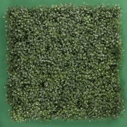 MURO VERDE ARRAYAN NATURAL