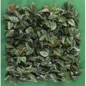 MURO VERDE LAUREL ROJO
