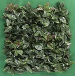 MURO VERDE LAUREL ROJO