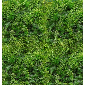 MURO VERDE VIRGINIA