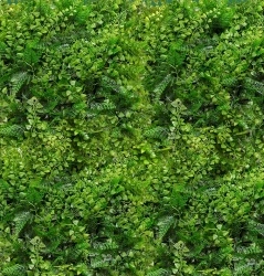 MURO VERDE VIRGINIA