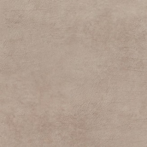PAPEL TAPIZ CURIOUS 17921 BROWN LIGHT