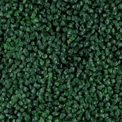 MURO VERDE GREEN WALLS GREEN BOXUS