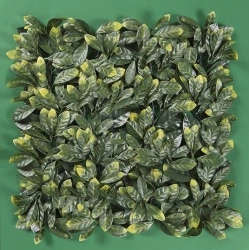 MURO VERDE LAUREL DORADO