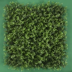 MURO VERDE ARRAYAN VERDE