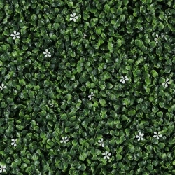 MURO VERDE GREEN WALLS JASMINE