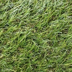 PASTO SINTETICO BAY PLUS 40