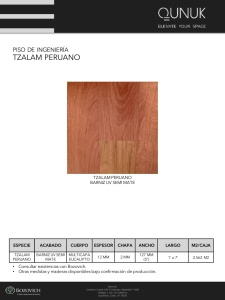 PISO DE INGENIERIA TZALAM PERUANO