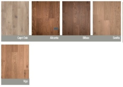 LINEA BASICS (12 mm x 2 mm)