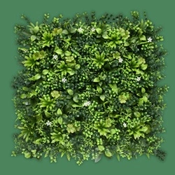 MURO VERDE BRUSELAS