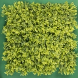 MURO VERDE PERSIA