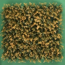 MURO VERDE ARRAYAN NARANJA