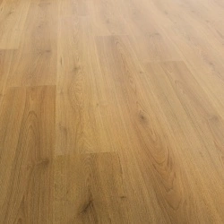 PISO LAMINADO TREND HONEY