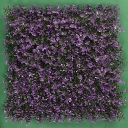 MURO VERDE ARRAYAN MORADO