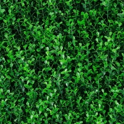 MURO VERDE GREEN WALLS SPRING BOXUS
