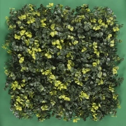 MURO VERDE MENTA