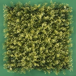 MURO VERDE ARRAYAN AMARILLO