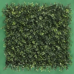 MURO VERDE BOXWOOD