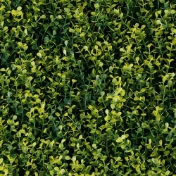 MURO VERDE GREEN WALLS YELLOW BOXUS