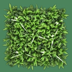 MURO VERDE SIBERIA