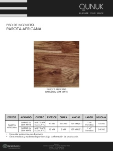 PISO DE INGENIERIA PAROTA AFRICANA