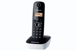Panasonic KX TG1611FXW