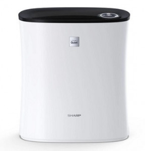 Sharp UA PE30EWBS01