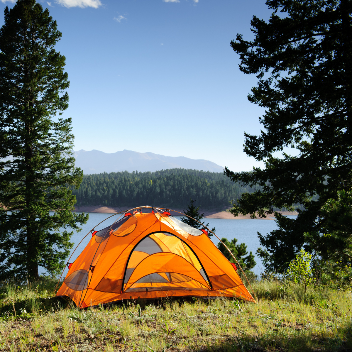 Camping