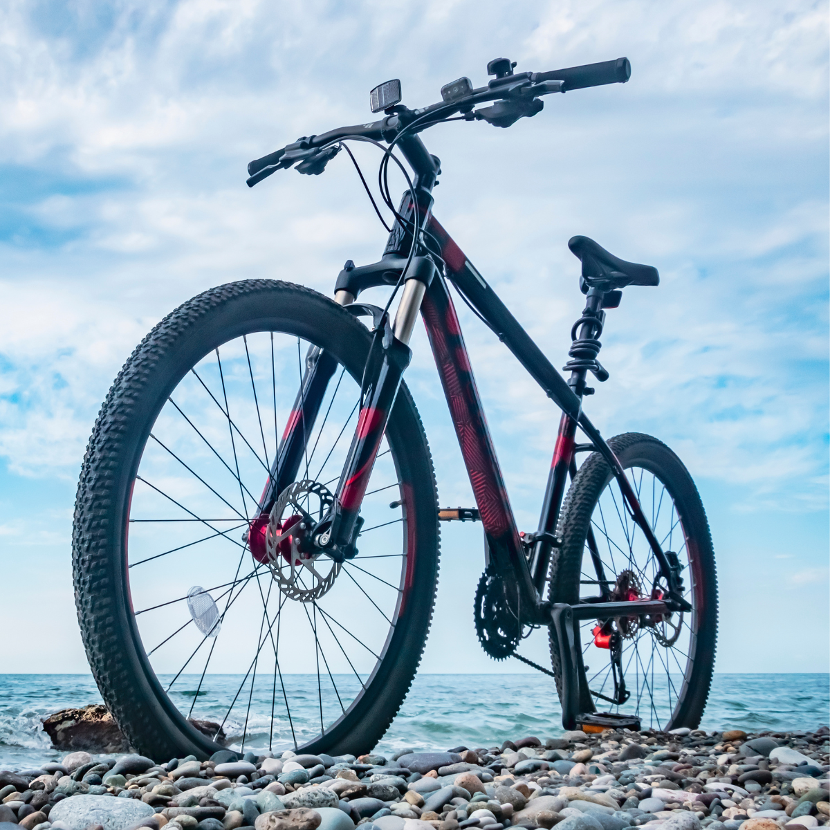 Biciclete