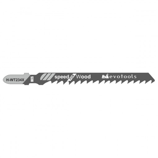 Panza Fierastrau Pendular Lemn Tip H-WT234X EvoTools, Lungime 100 mm, 5 Bucati