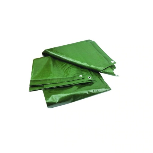 Prelata cu Inele Latime 6m, Lungime 8m, Greutate 120g/mp, Culoare Verde