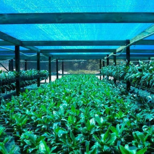 Plasa umbrire 1.5 m x 10 m umbrire 90% protectie UV Verde Turcia Beldeny - Img 6