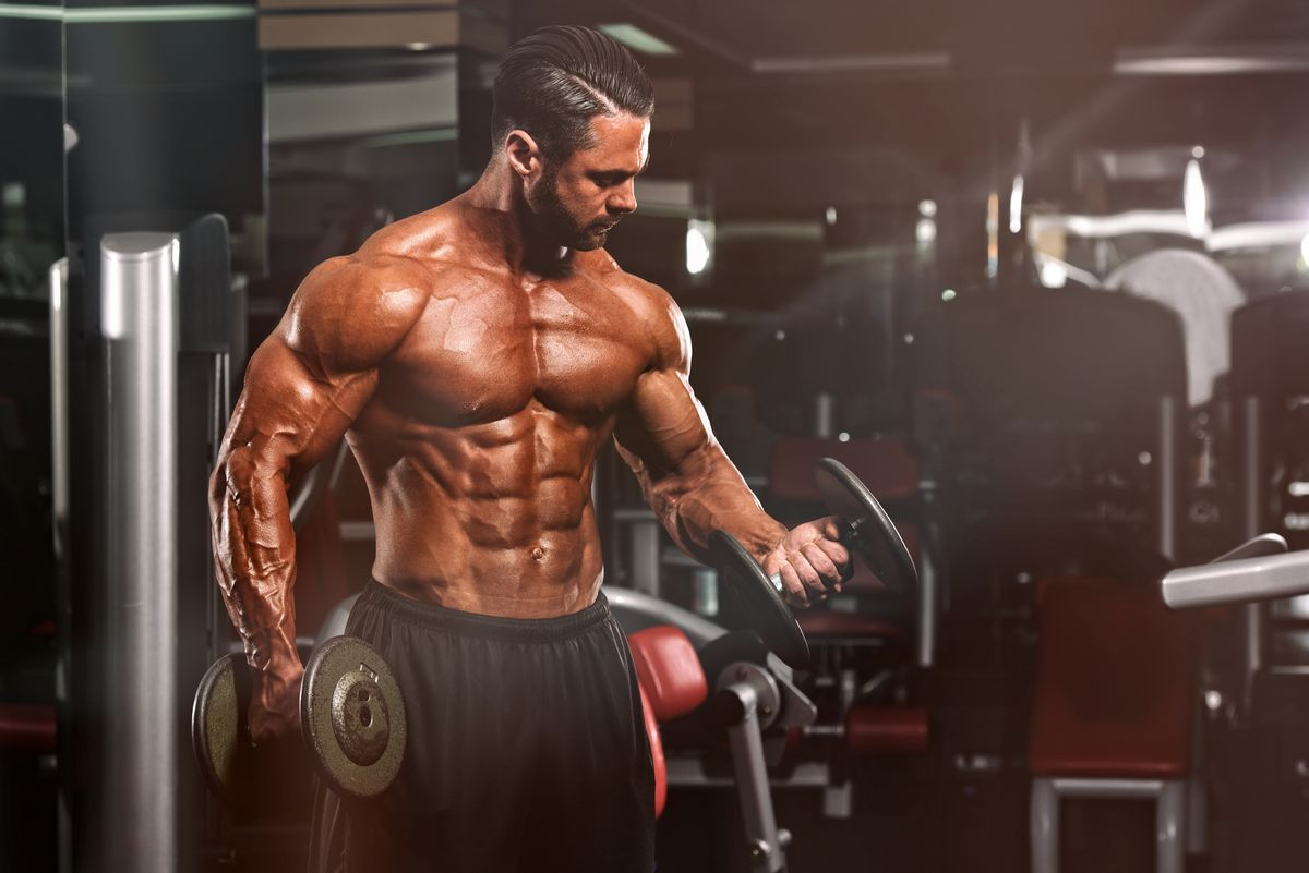 GAINERE & CRESTERE MASA MUSCULARA