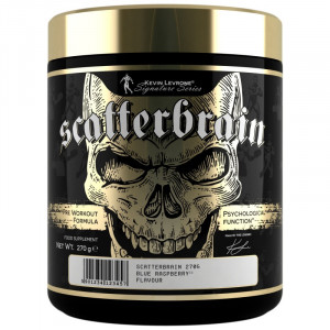 KEVIN LEVRONE SCATTERBRAIN 270G