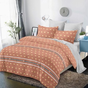Pachet Somn Complet Lenjerie cu Elastic 180x200 Citana 6 Piese (Finet), Pilota, 2 Perne si Patura Pufoasa