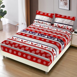 Cearsaf de pat Cocolino cu elastic si 2 fete de perna Merry V16 180x200cm