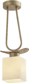 APLICA GOLDIE AP1 6611