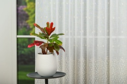 Perdea cu rejansă Splash Alb 1906 – Perdea elegantă cu broderie florală și bordură decorativă