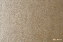 DRAPERIE CU REJANSA MENDOLA SUPREME BEJ C1 - Img 5