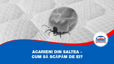 Acarieni din saltea  - cum să scăpăm de ei?