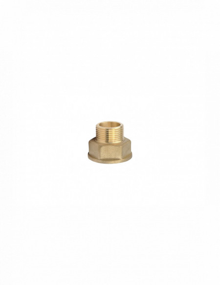 Prelungitor redus alama (reductie inversa)3/4-1/2 FI-FE (ALEF 15)