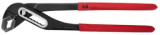 Cleste Papagal cr-vn ETP 12 (ETA)
