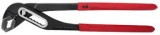 Cleste Papagal cr-vn ETP 12 (ETA)