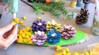 Cum să folosești creativ conurile din pădure?
