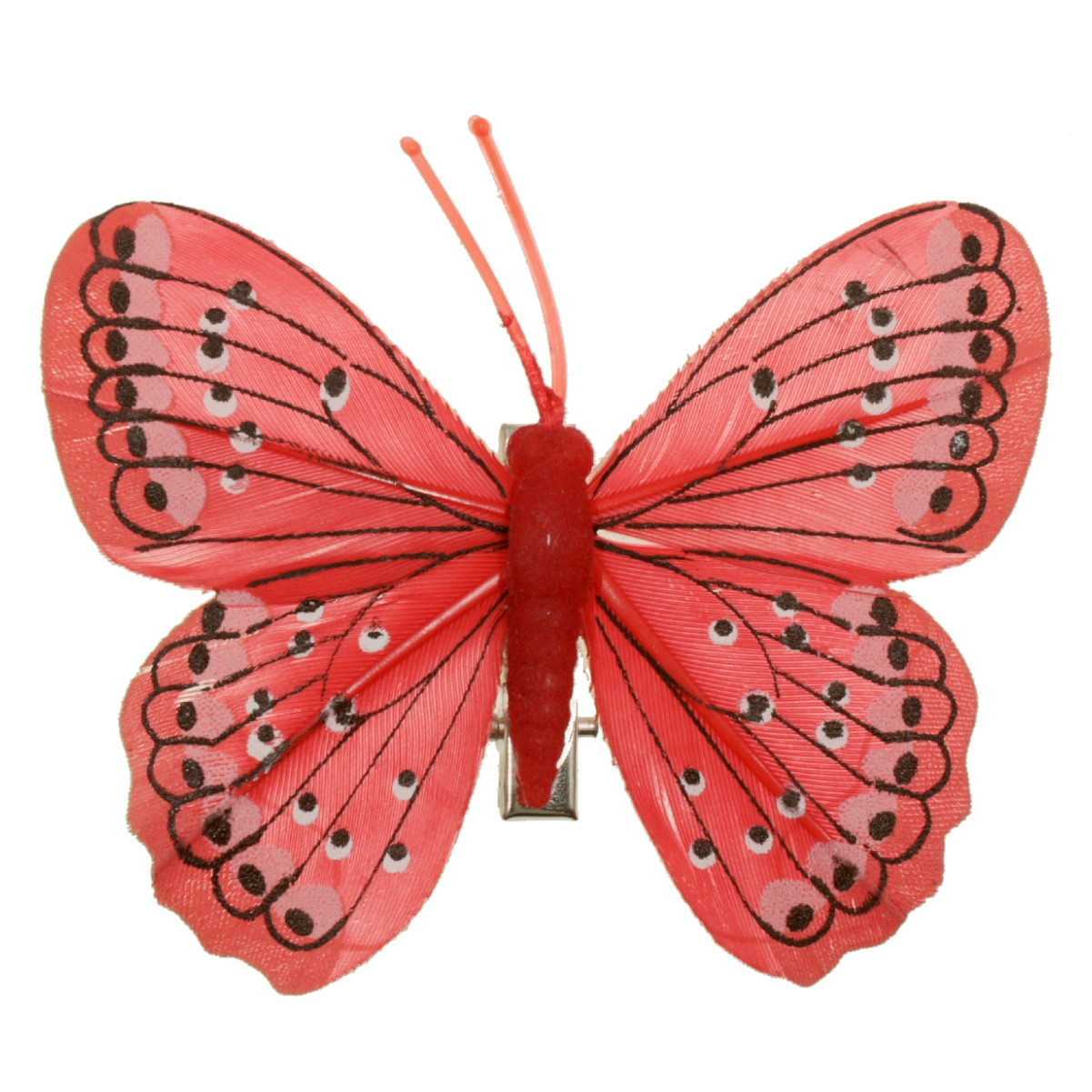 Fluturi