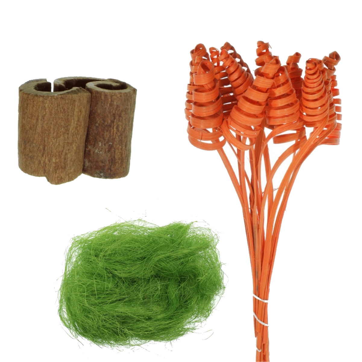 Plante naturale uscate