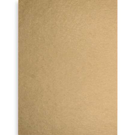 Pasla tare A4 x 1mm bej 802112